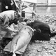 Image for article titled From Pickaxes to Robots: The Evolution of the Bomb Disposal Squad